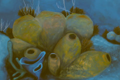 1_ZP-Sponges-plumes