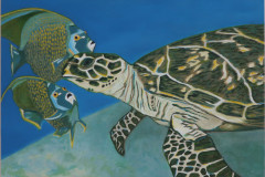 ZP-Turtle-and-Angel-fish