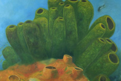 GreenSponges-ZP