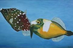 ZP-Filefish.JPG
