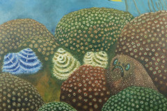 ZP-MorayEelb