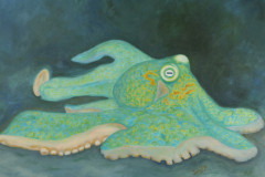 ZP-Octopus2