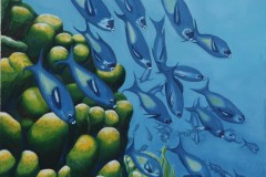 ZP-School-of-Wrasse-fish.JPG