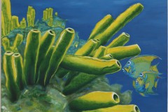 ZP-Sponges-and-Angel-fish.JPG