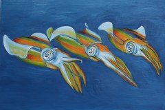 ZP-Squids.JPG